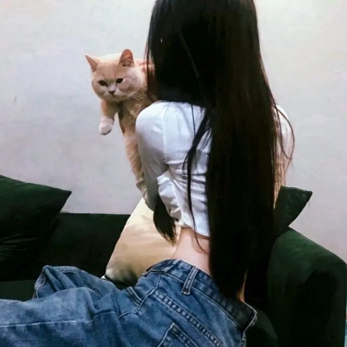 死亡真面目6